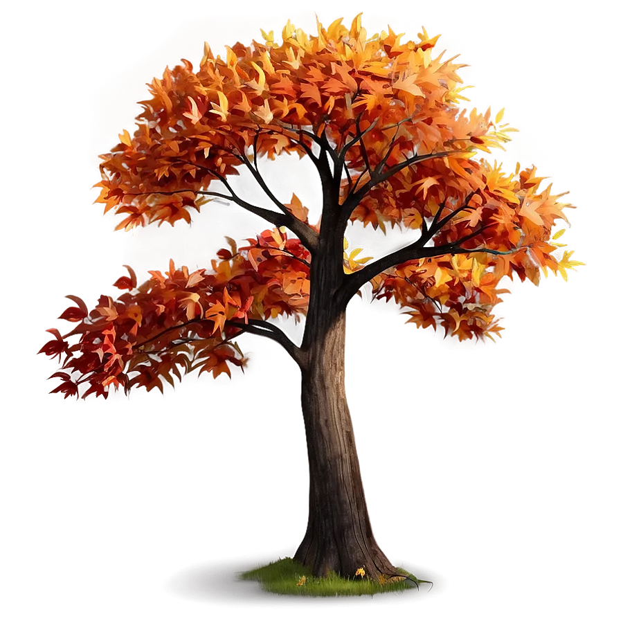 Autumn Tree Png  images