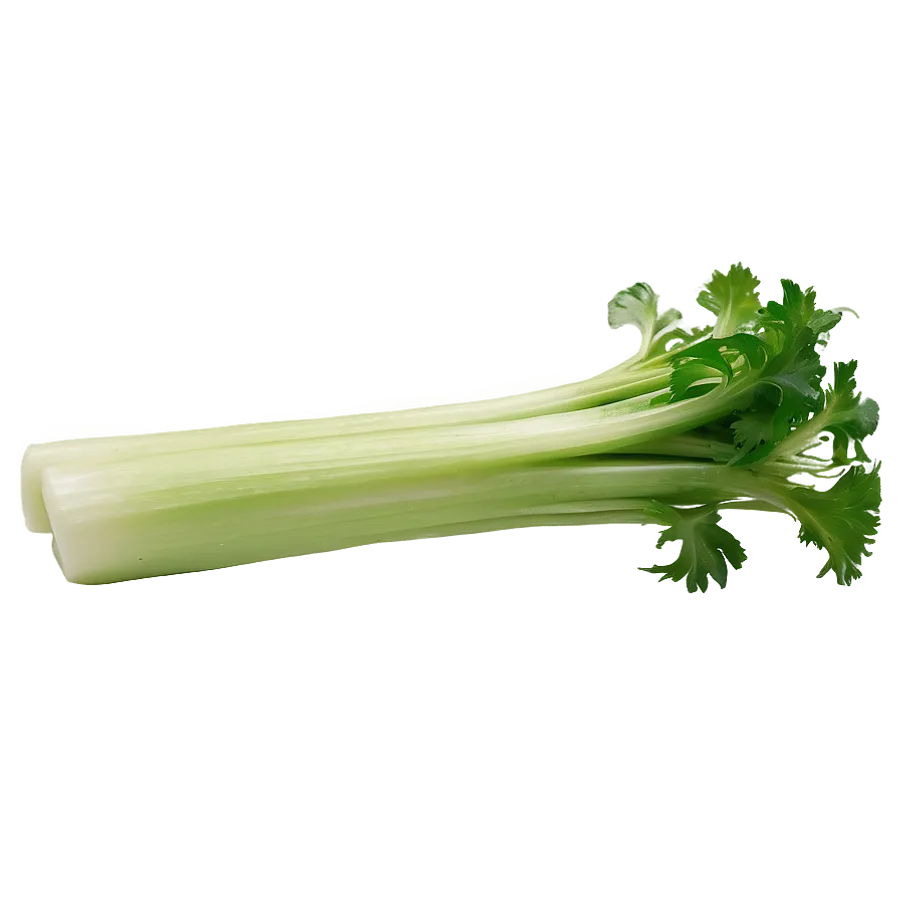 Celery Png