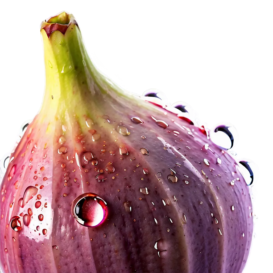 Figs Png