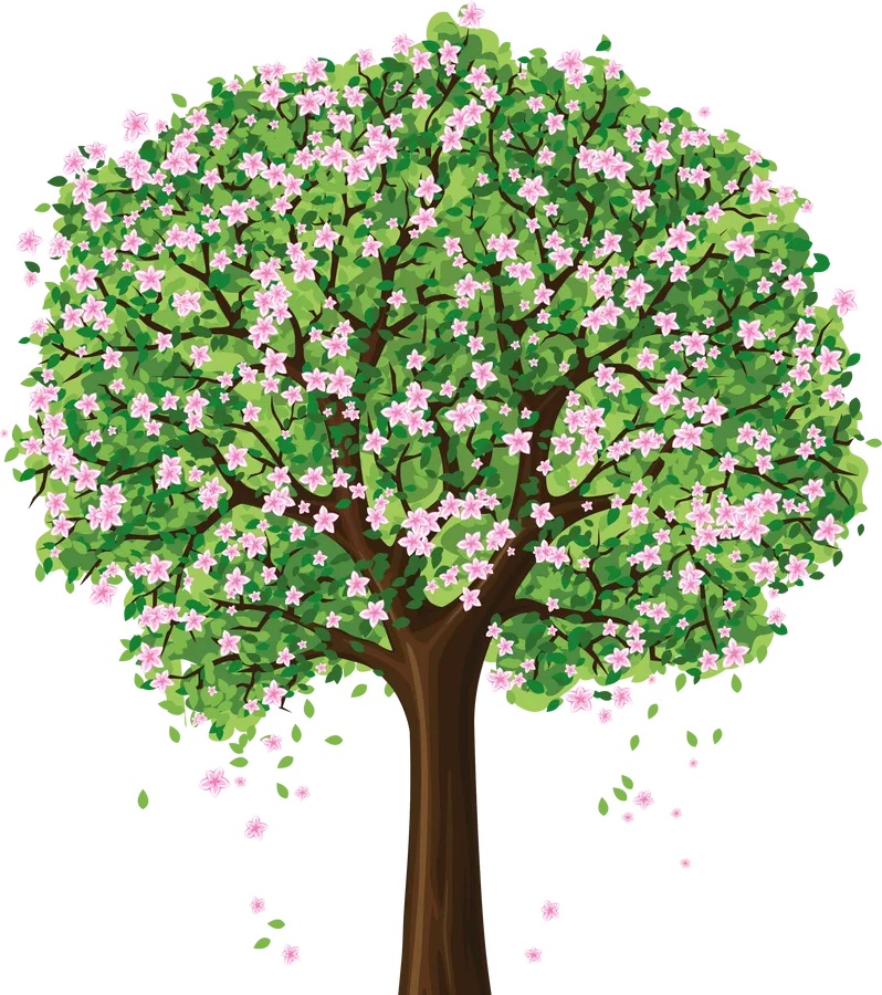 Flower Tree Images Png