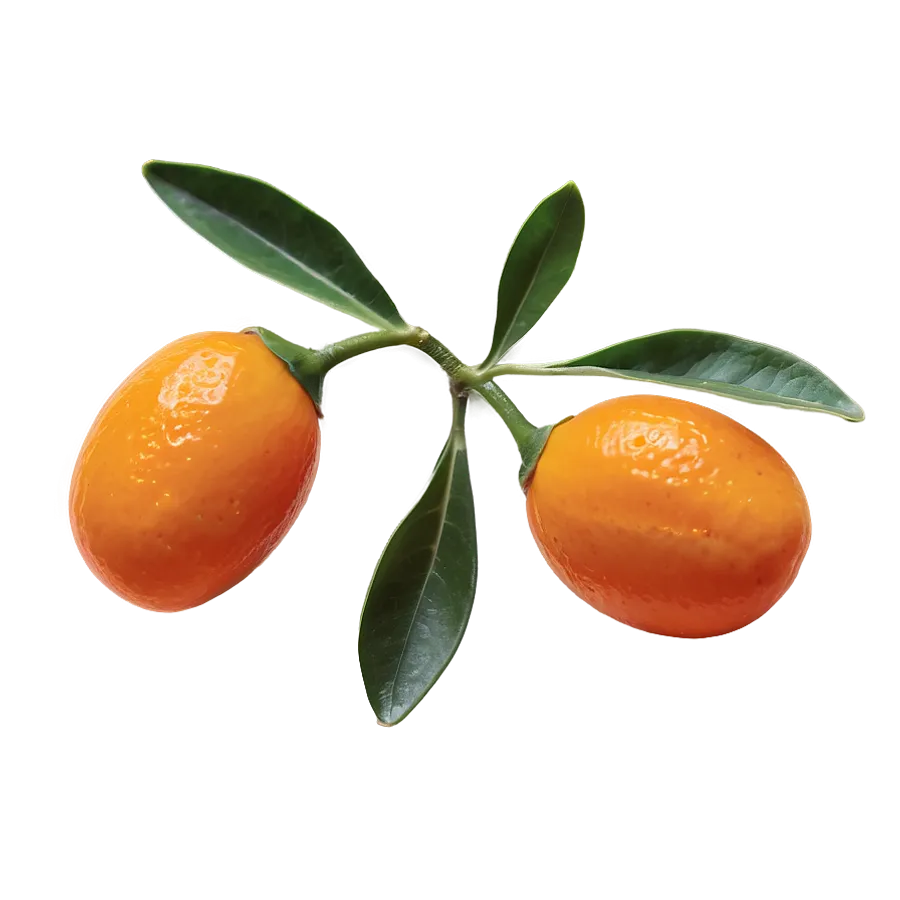 Kumquat Png