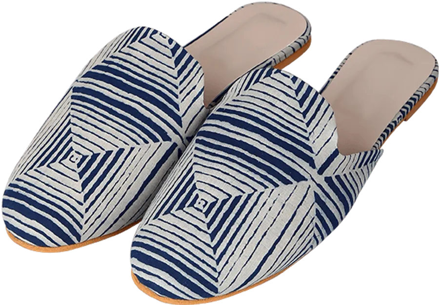 Ladies Chappal Png