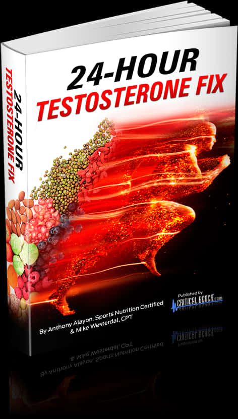 24 Hour Testosterone Fix Book Cover