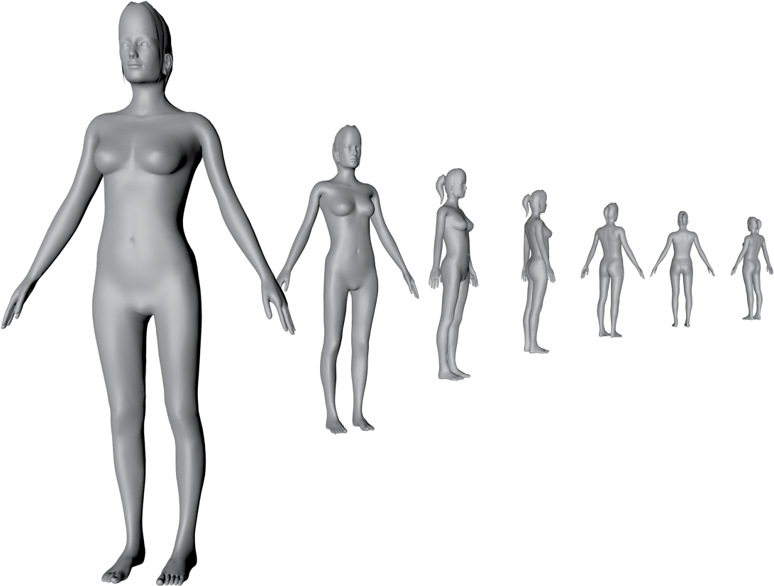 3 D Human Growth Sequence