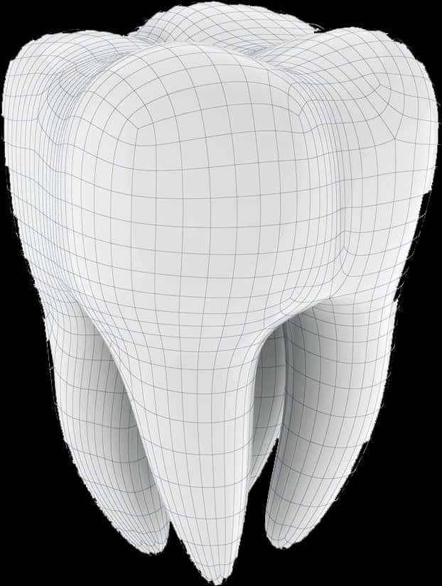 3 D Model Tooth Wireframe