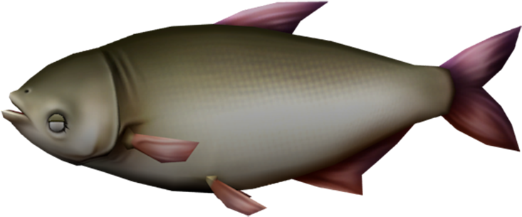 3 D Rendered Carp