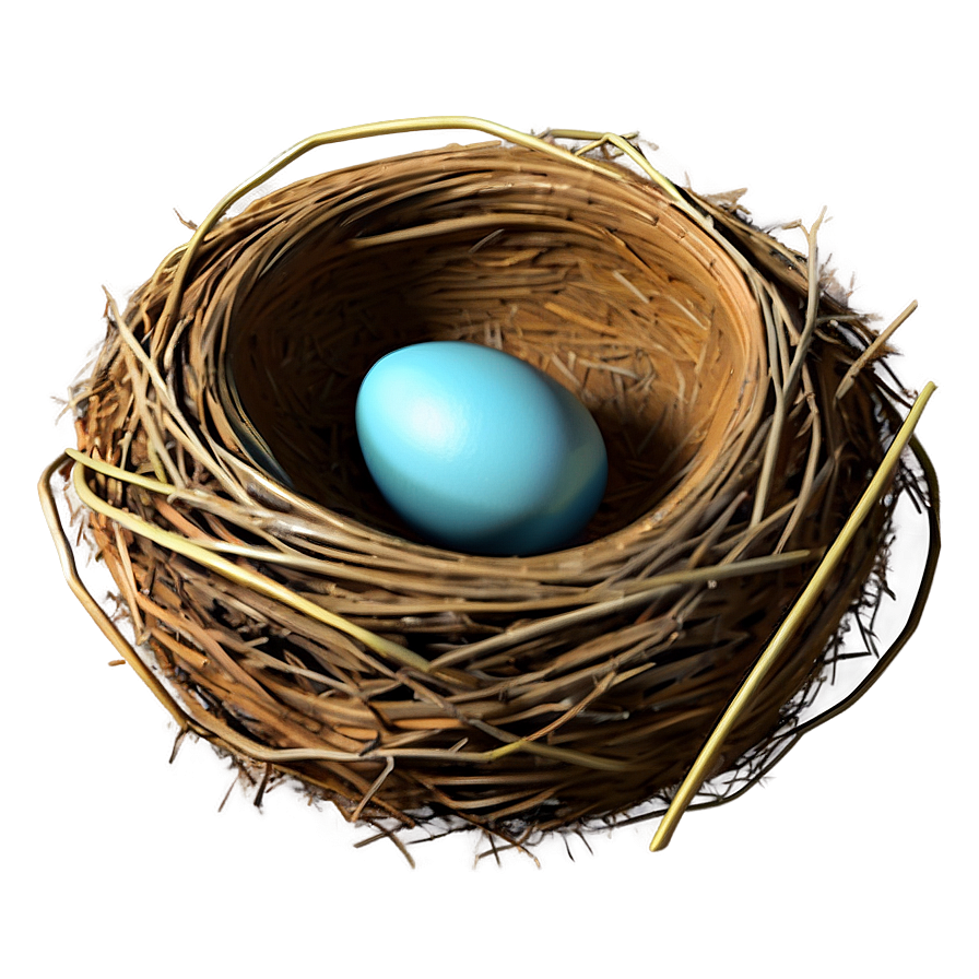 3d Bird Nest Png Gjq