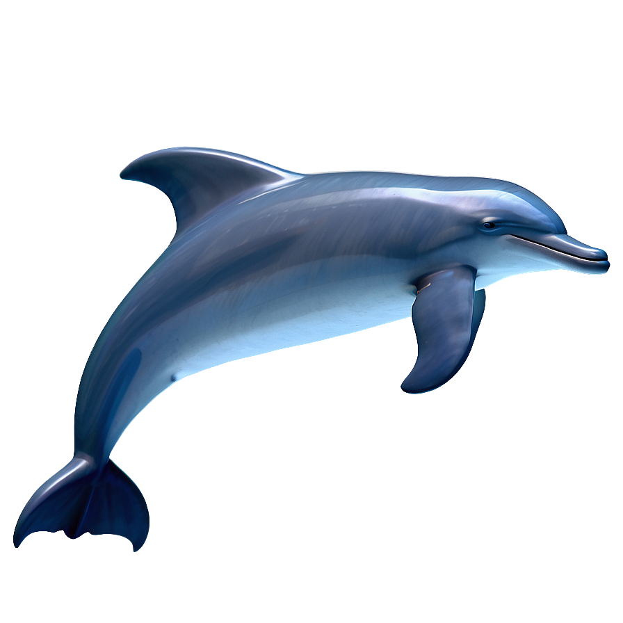 3d Dolphin Png 05062024