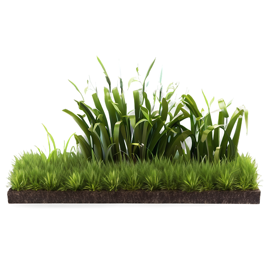 3d Grass Patch Png 29