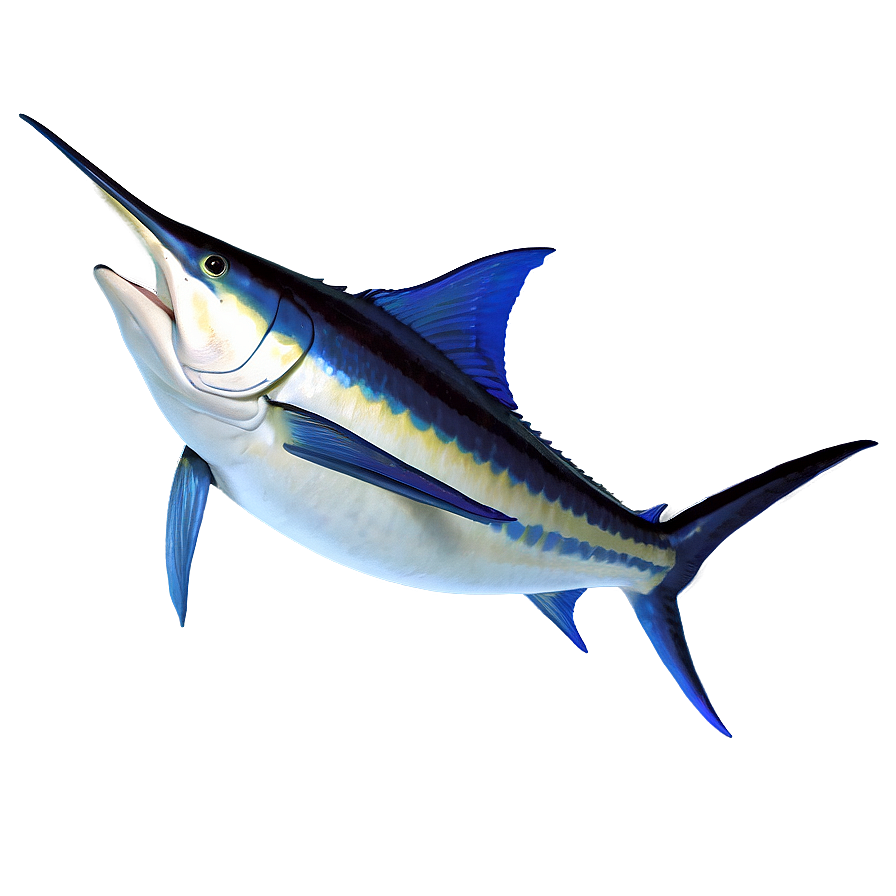 3d Marlin Model Png Cre