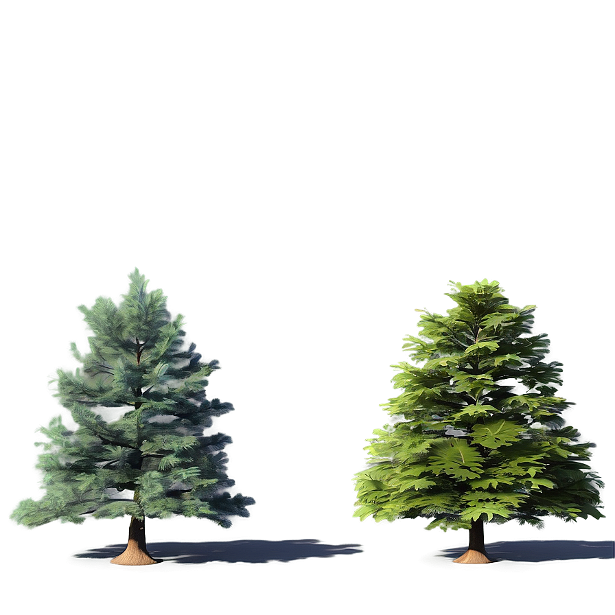 3d Model Tree Elevation Png 06262024