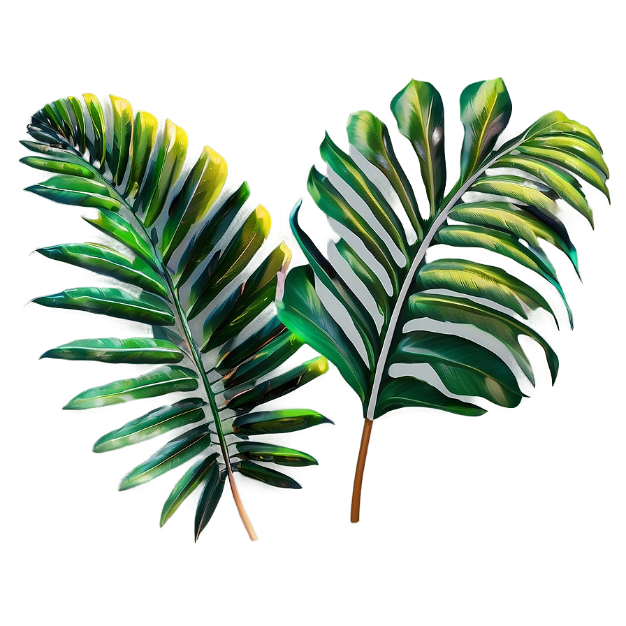 3d Palm Leaves Png Emb