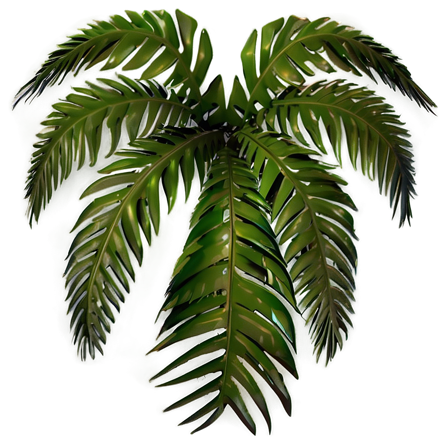 3d Palm Leaves Png Xuj87