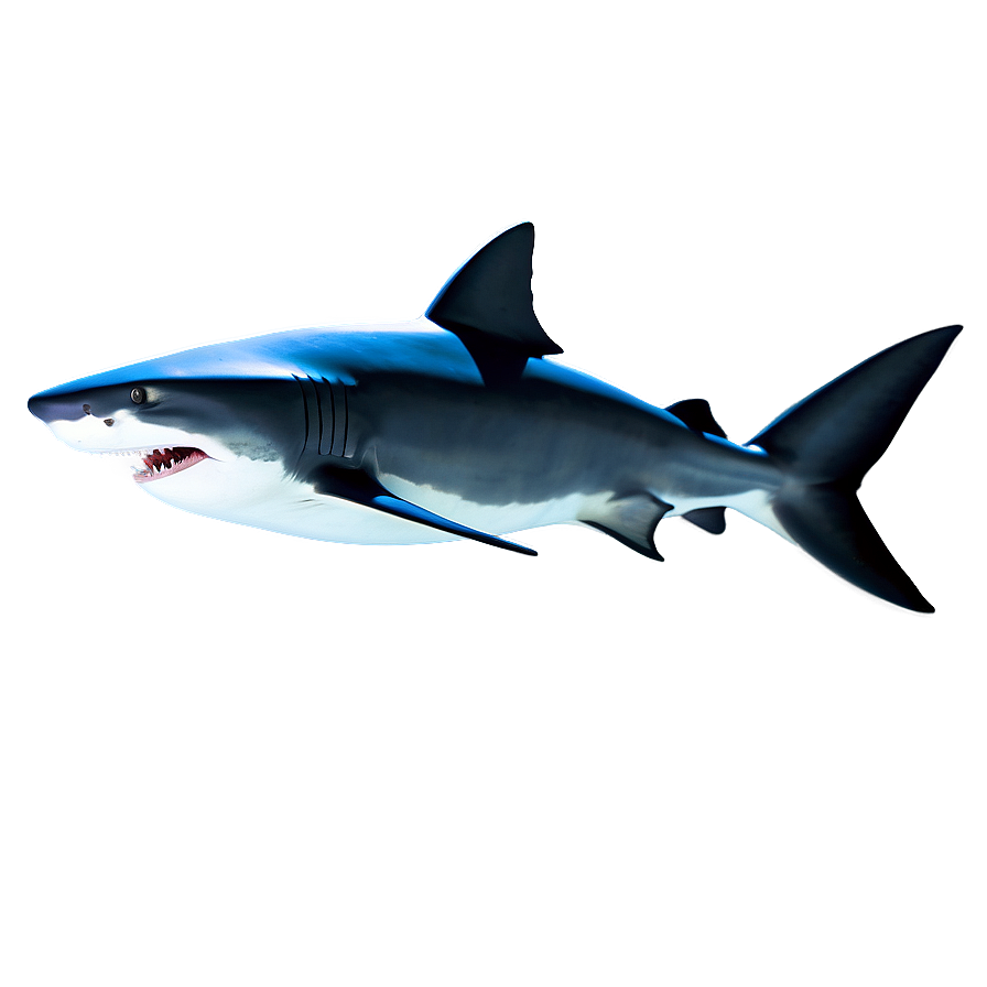 3d Shark Image Png 33