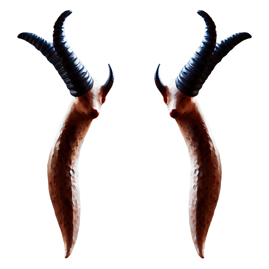 Abstract Antelope Horns Png 98
