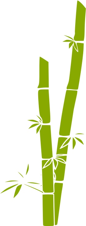 Abstract Bamboo Illustration