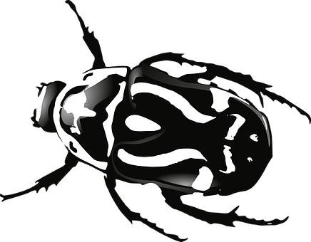 Abstract Blackand White Beetle Illustration