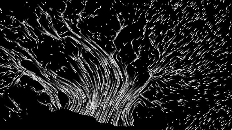 Abstract Blackand White Flowing Lines