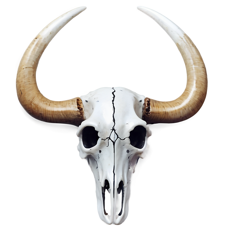 Abstract Bull Skull Png Kvn