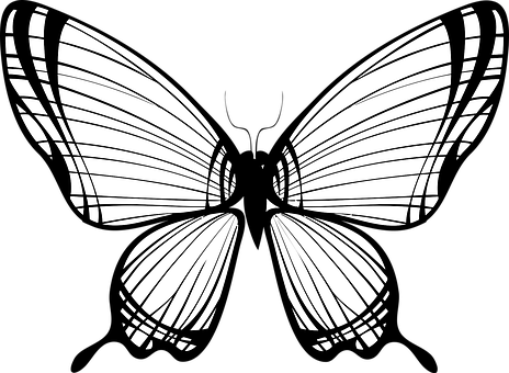 Abstract Butterfly Silhouette