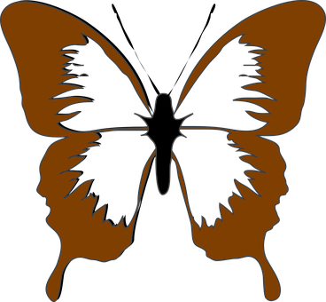 Abstract Butterfly Silhouette