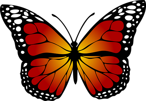 Abstract Butterfly Silhouette