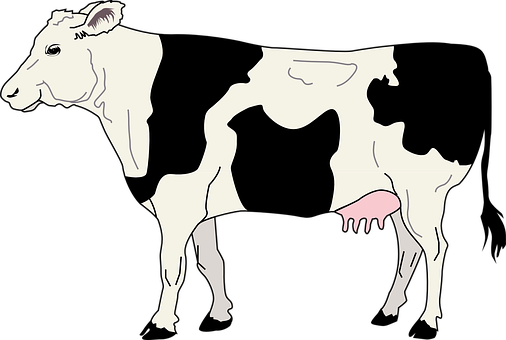 Abstract Cow Illustration