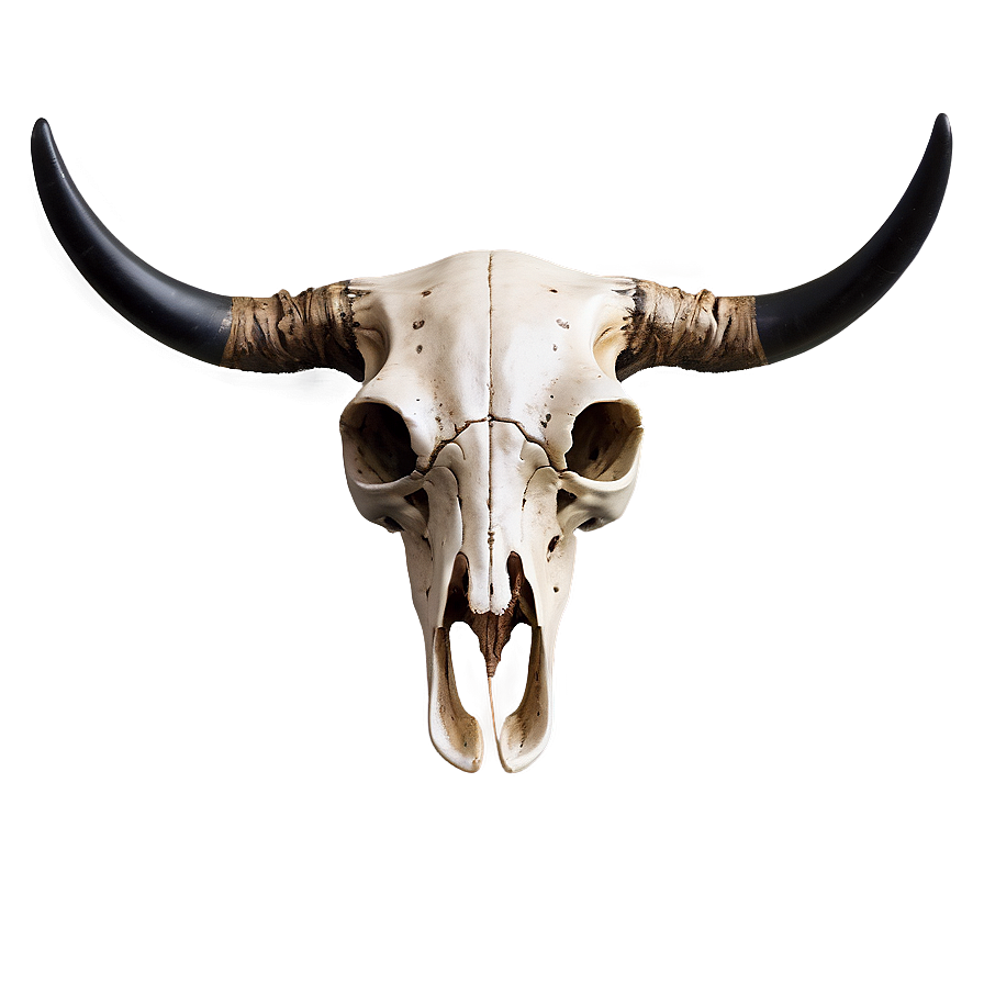 Abstract Cow Skull Png 06132024