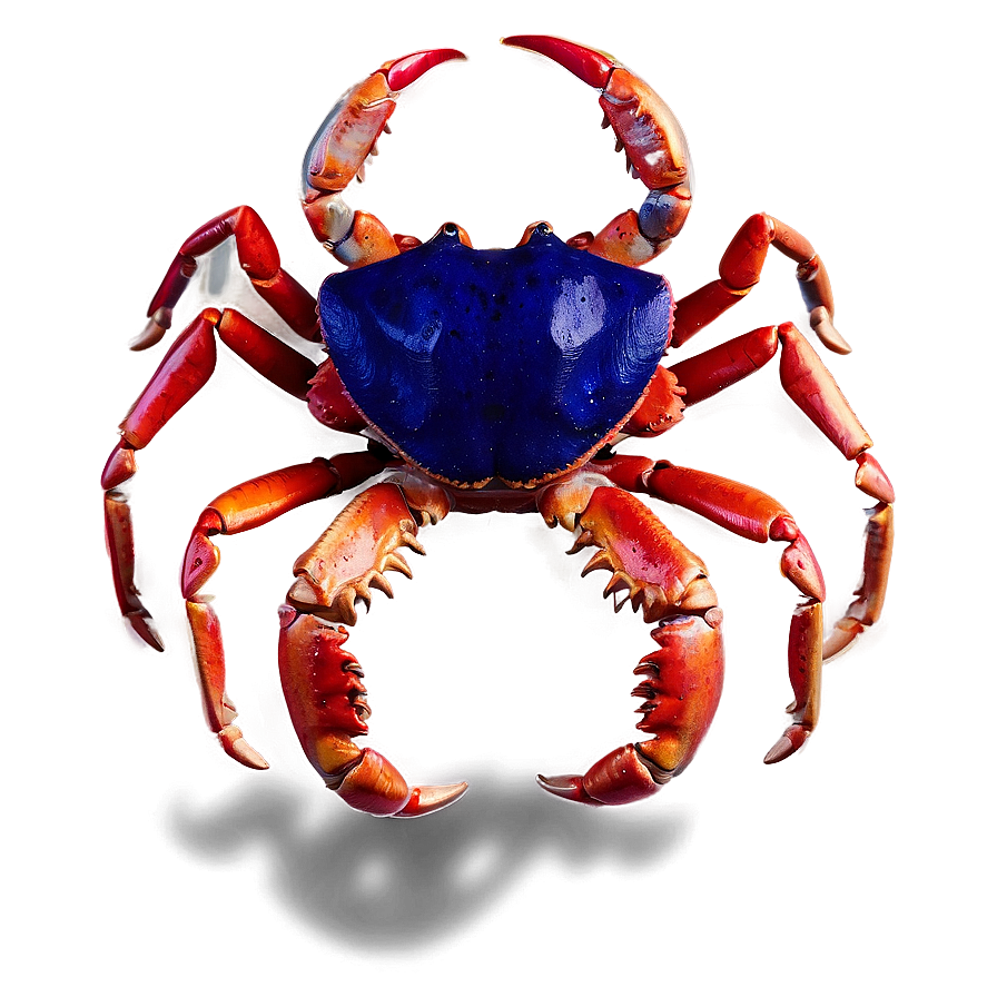 Abstract Crab Concept Png 05232024