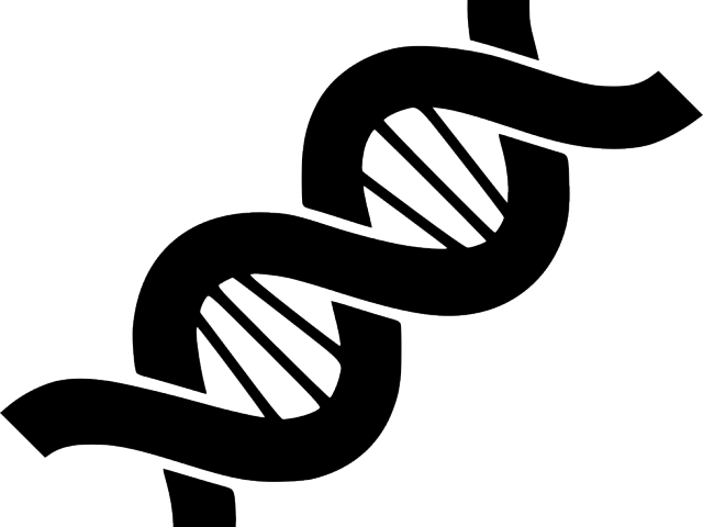 Abstract D N A Double Helix