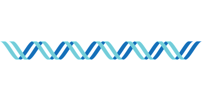 Abstract D N A Double Helix Illustration