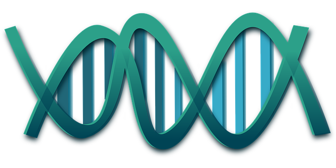 Abstract D N A Double Helix Illustration