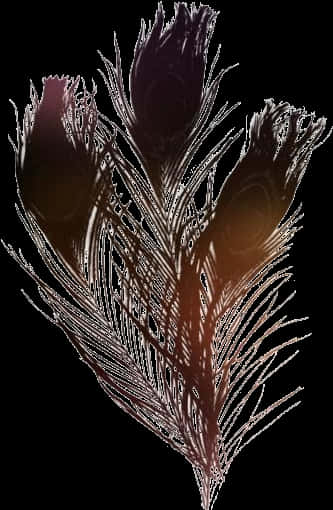 Abstract Feather Artwork