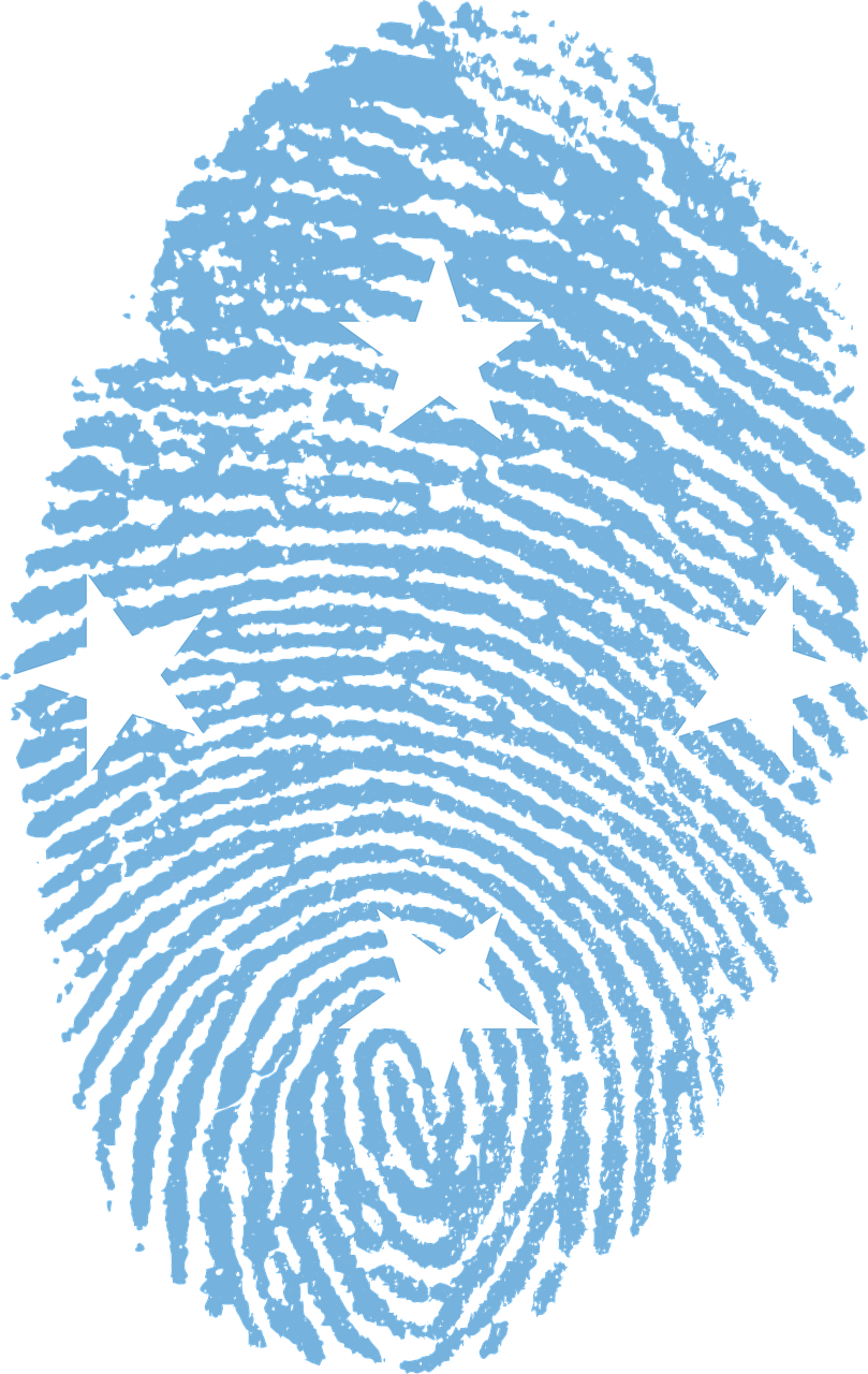 Abstract Fingerprint Artwork