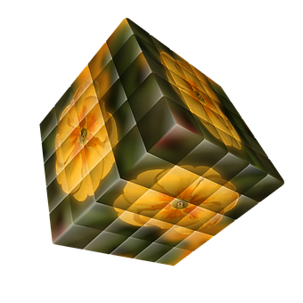 Abstract Floral Cube Illusion