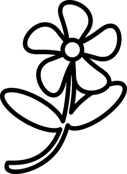 Abstract Flower Silhouette Black Background