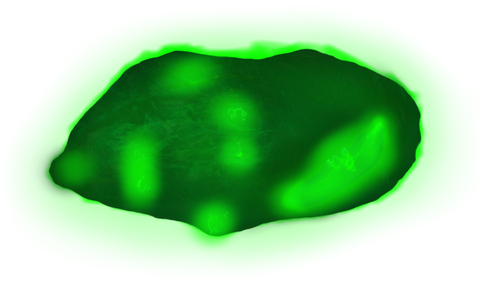 Abstract Green Blob Illustration