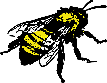 Abstract Honeycomb Bee Graphic