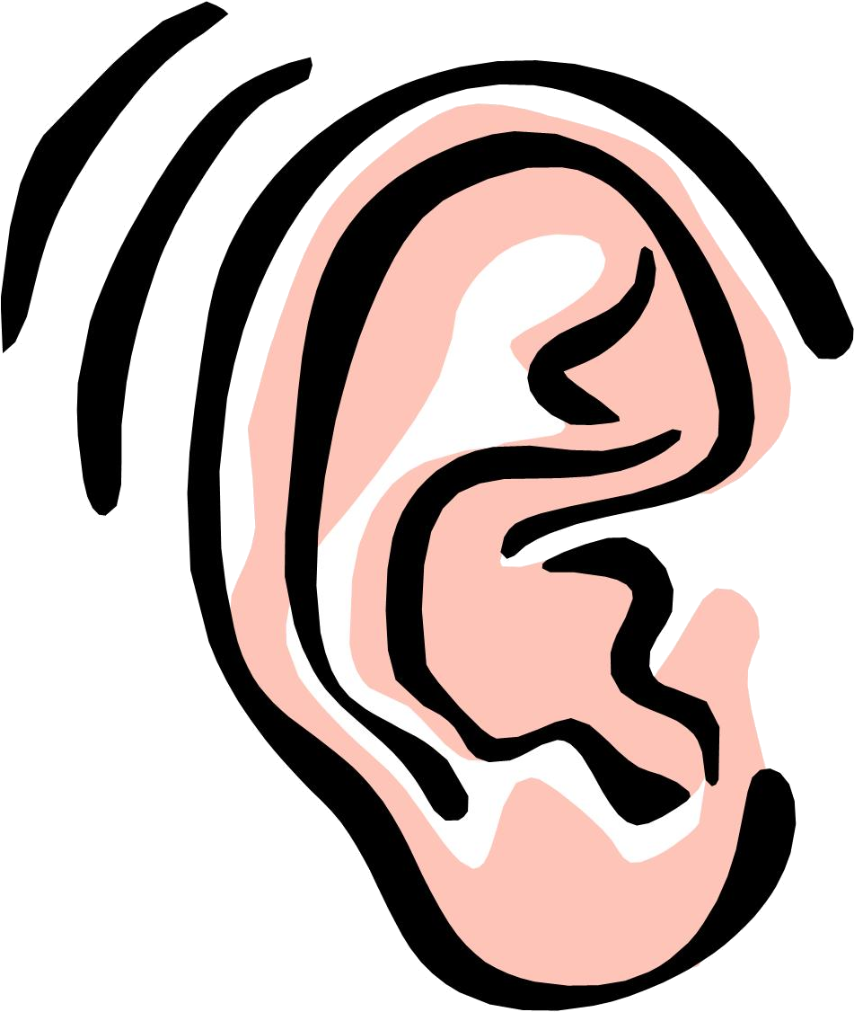 Abstract Human Ear Illustration