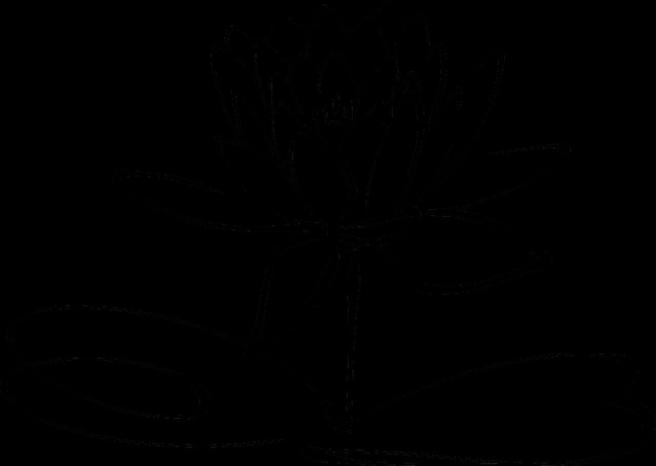 Abstract Lotus Outline Dark Background