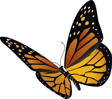 Abstract Monarch Butterfly Vector