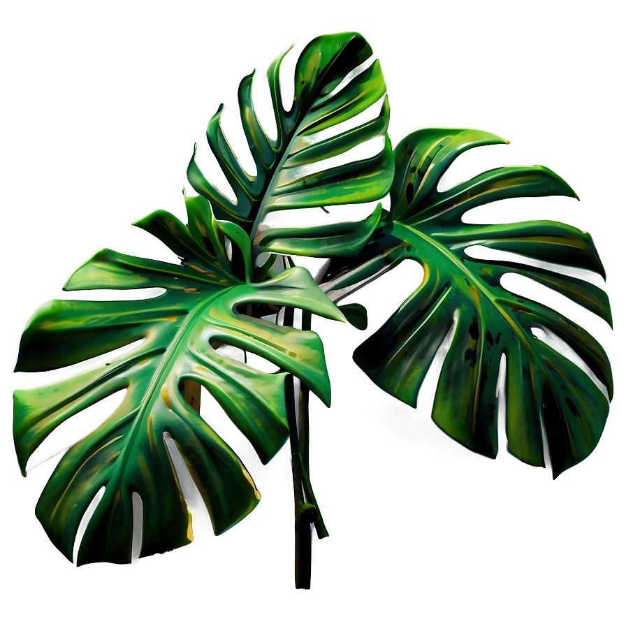 Abstract Monstera Art Png 16