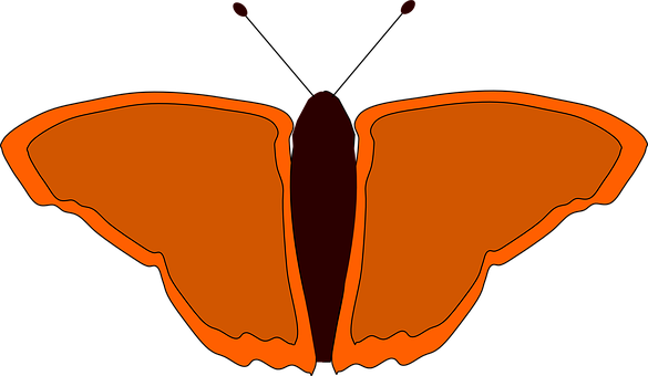 Abstract Orange Butterfly Silhouette