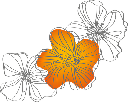 Abstract Orange Flower Illustration