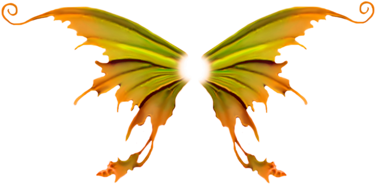 Abstract Orange Green Wings Artwork