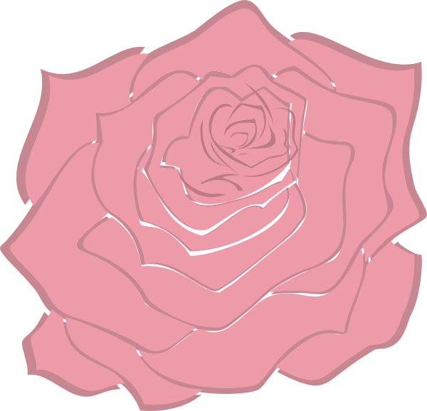 Abstract Pink Rose Illustration
