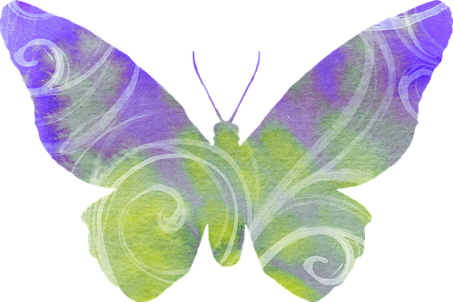 Abstract Purple Green Butterfly Art