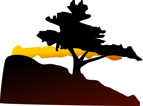 Abstract Savanna Sunset Silhouette.jpg