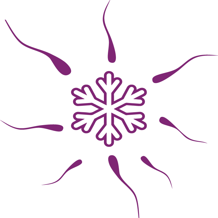 Abstract Snowflake Design