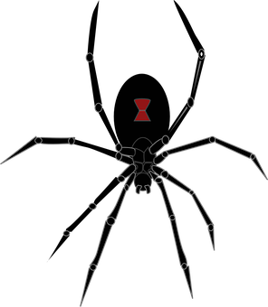 Abstract Spider Artwork